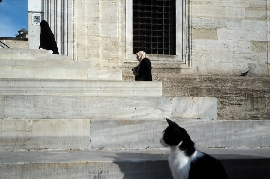 The Art of Perfect Timing: 34 Clever Street Photos by Emiliano Cuadrado That Turn Ordinary Scenes Into Visual Surprises 70 A black-and-white cat sits in the foreground before broad marble steps, while two veiled figures walk near a historic stone building, creating a layered and minimalist street photography composition.