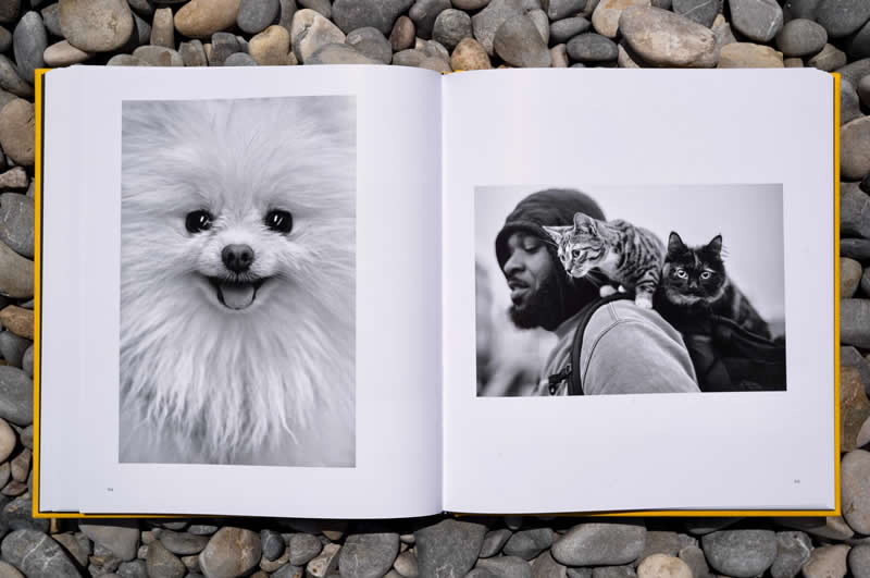 Street Safari Alan Schaller Street Photography Book