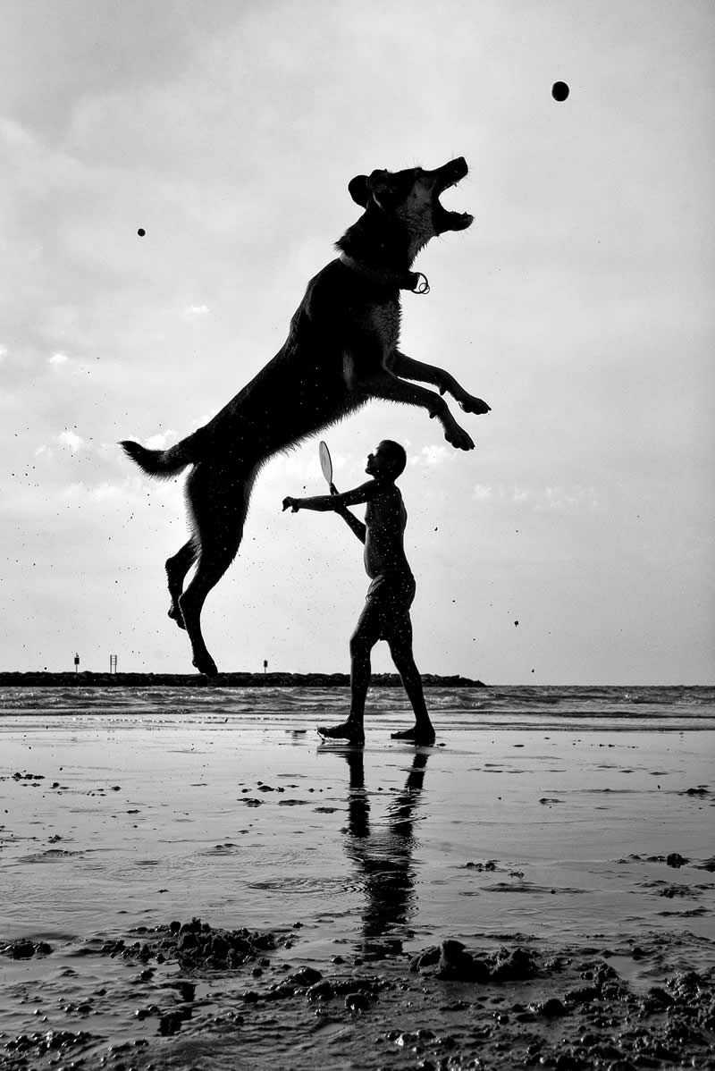 Street Safari Alan Schaller Street Photography Book
