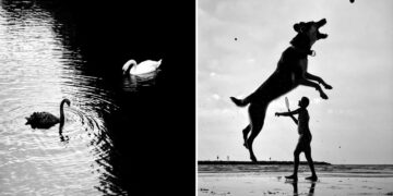 Street Safari Alan Schaller Street Photography Book