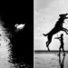 Street Safari: Alan Schaller's Stunning New Monograph Celebrates Animals in Black and White 71 Street Safari Alan Schaller Street Photography Book