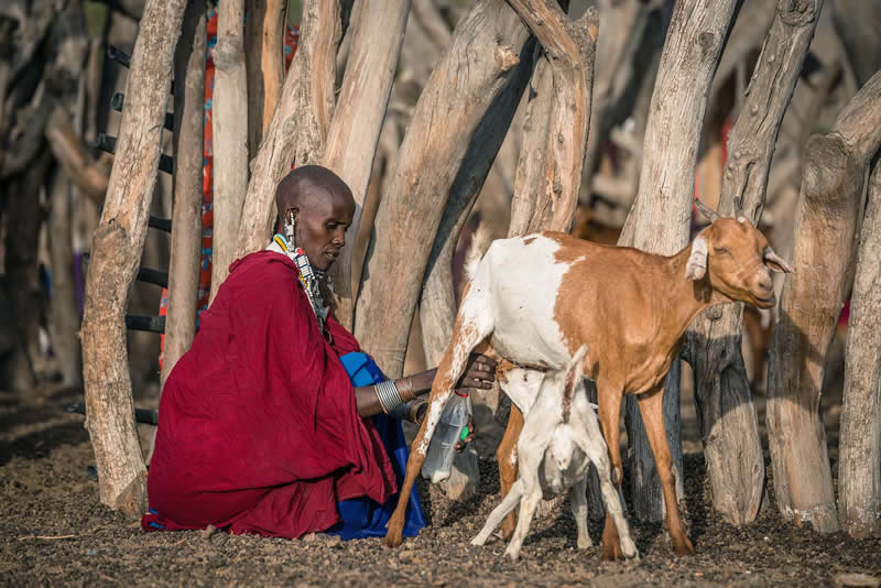 Indigenous Tribes of Tanzania by Vlad Cioplea