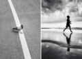 The Art of Perfect Timing Street Photos Taken at the Exact Right Moment