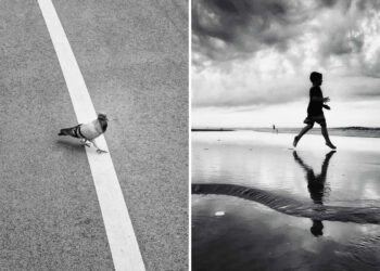 The Art of Perfect Timing Street Photos Taken at the Exact Right Moment