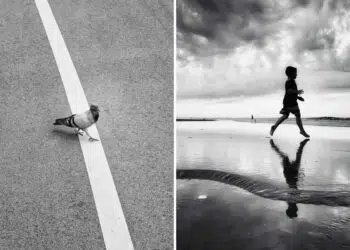 The Art of Perfect Timing Street Photos Taken at the Exact Right Moment