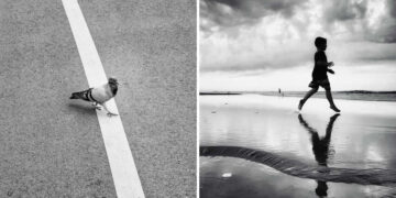 The Art of Perfect Timing Street Photos Taken at the Exact Right Moment