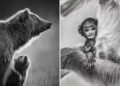 Wildlife Photos from The Artist Gallery Awards 2026