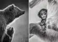 Nature Unleashed: 24 Winning Wildlife Photos from The Artist Gallery Awards 2026 55 Wildlife Photos from The Artist Gallery Awards 2026