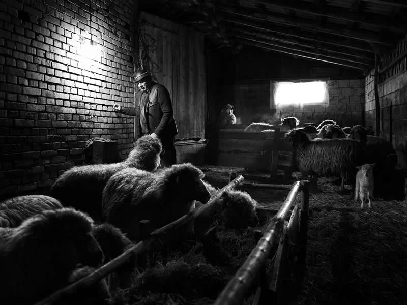 Where the Earth Remembers: Oliver Klink's Moving Portrait of Rural Life and Memory 36 Shepherd Feeding, Memory of Land, Poland - Where the Earth Remembers by Oliver Klink