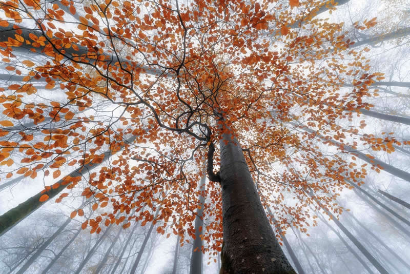 Protected Nature Areas: 20 Remarkable Winners From Wiki Loves Earth 33 Landscapes: 1st Place by Markusmachtphotos - Wiki Loves Earth International Photo Contest Winners