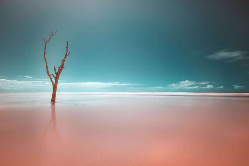 Protected Nature Areas: 20 Remarkable Winners From Wiki Loves Earth 34 Landscapes: 2nd Place by Thiagomarcelcampi - Wiki Loves Earth International Photo Contest Winners