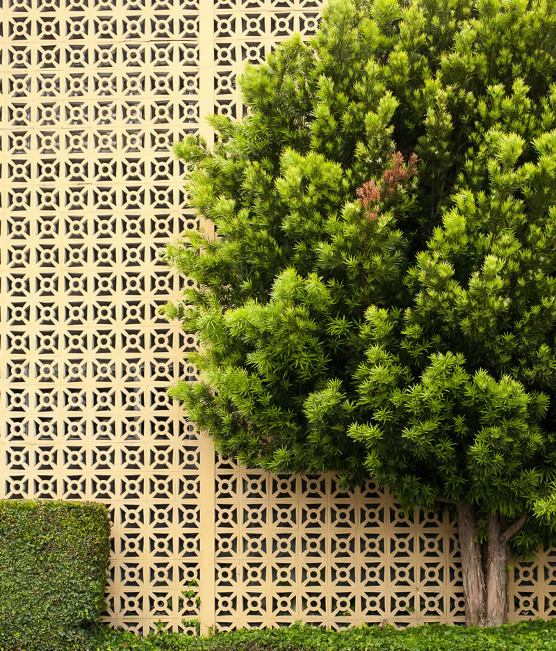 AAP Magazine 2026 Awards: 25 Striking Photos That Turn Shapes Into Art 45 Finalist: Trimmed by Julie V. Garner, United States - AAP Magazine 2026 Awards Shapes Winners