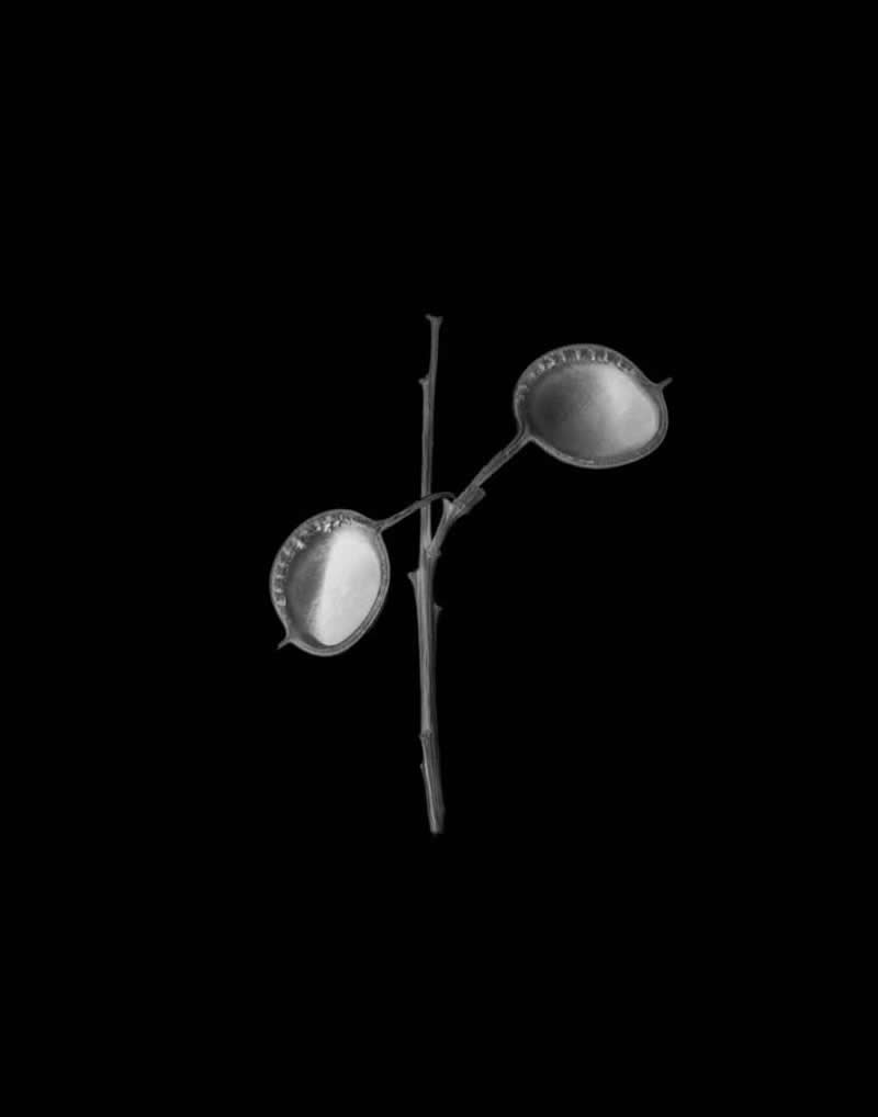 AAP Magazine 2026 Awards: 25 Striking Photos That Turn Shapes Into Art 52 Finalist: Tracy Burke, United States - AAP Magazine 2026 Awards Shapes Winners