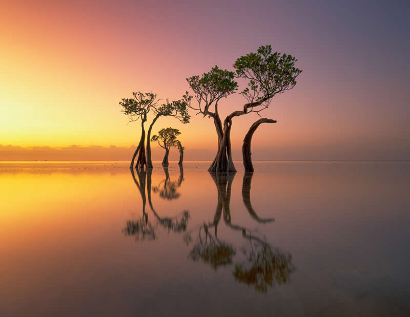 3rd Place: Stillness Beyond Time by Wendy Klein, Australia - Academy Photo Awards 2026 Landscape Winners