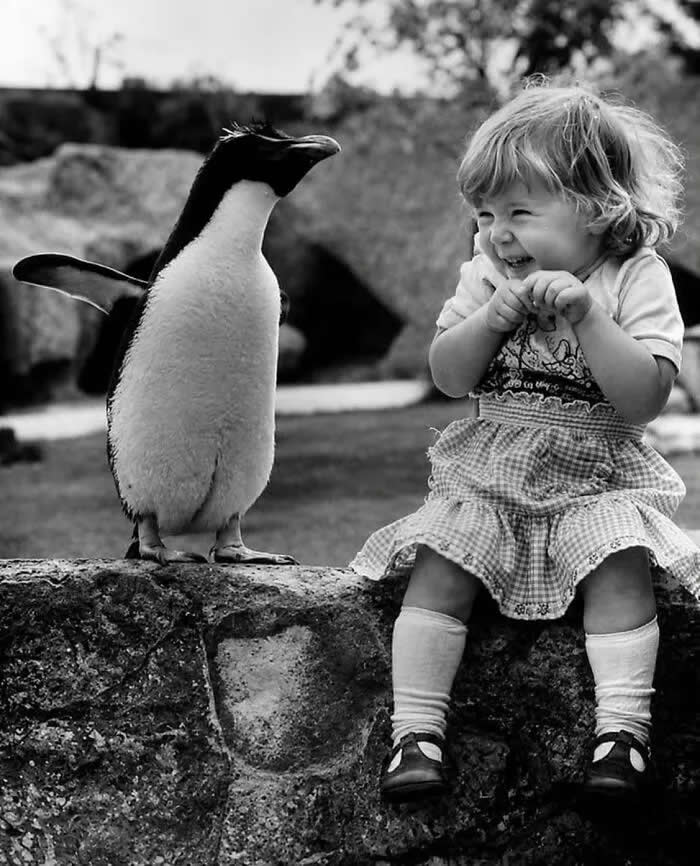 Nothing cooler than meeting a penguin for the first time, 1950s. - Animals Stole the Spotlight Historic Photos