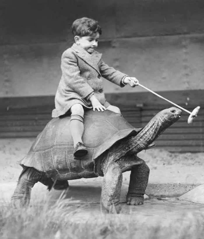 A boy and his turtle,1937. - Animals Stole the Spotlight Historic Photos