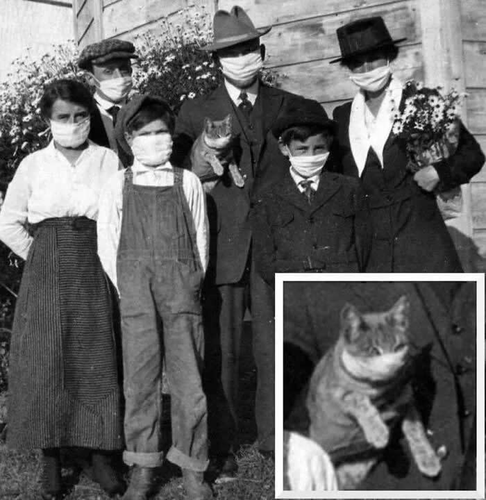 Spanish Flu, 1918. Family Portrait. - Animals Stole the Spotlight Historic Photos