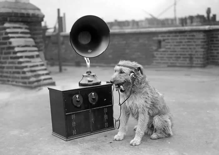 A dog listens to the radio while enjoying a pipe in June 1929. - Animals Stole the Spotlight Historic Photos
