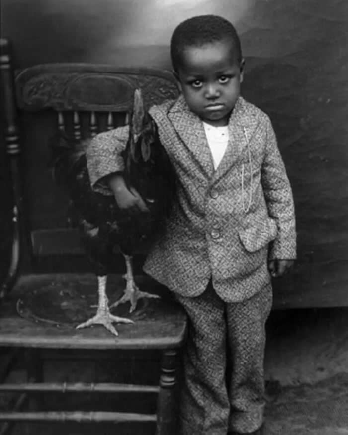 A boy and his rooster, Columbia, South Carolina, early 1920s. - Animals Stole the Spotlight Historic Photos