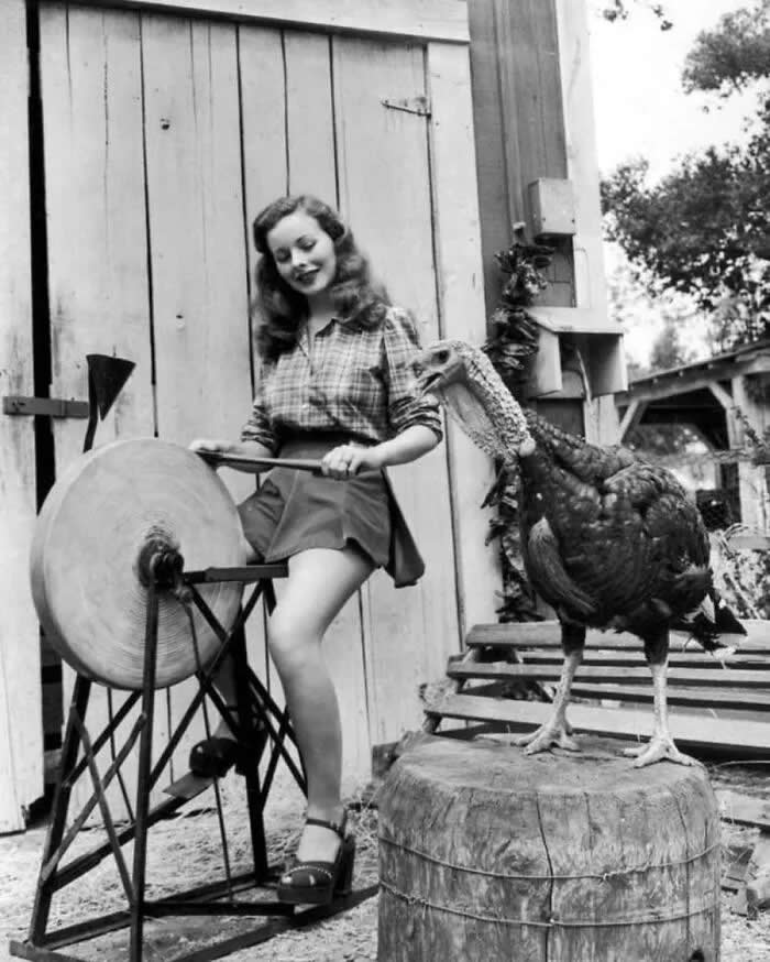 Thanksgiving, 1940. - Animals Stole the Spotlight Historic Photos