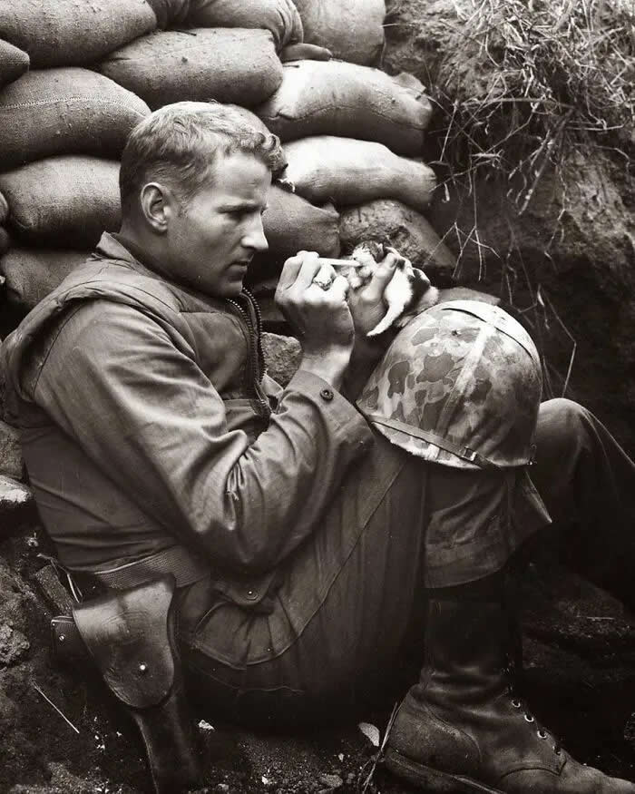 The marine and the kitten. Korean War, 1952. - Animals Stole the Spotlight Historic Photos