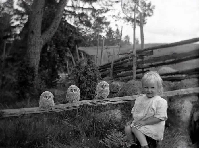 A little girl with three owls, 1925. - Animals Stole the Spotlight Historic Photos