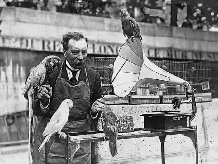 A parrot seller teaches his parrots to talk by playing them gramophone records, 1930s. - Animals Stole the Spotlight Historic Photos