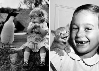 Animals Stole the Spotlight Historic Photos