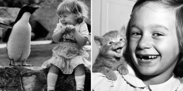 Animals Stole the Spotlight Historic Photos