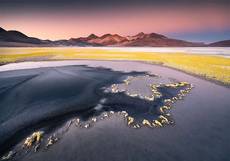 A surreal Atacama Desert landscape featuring dark mineral water bordered by golden formations, with distant mountains beneath a soft pink and blue sky.