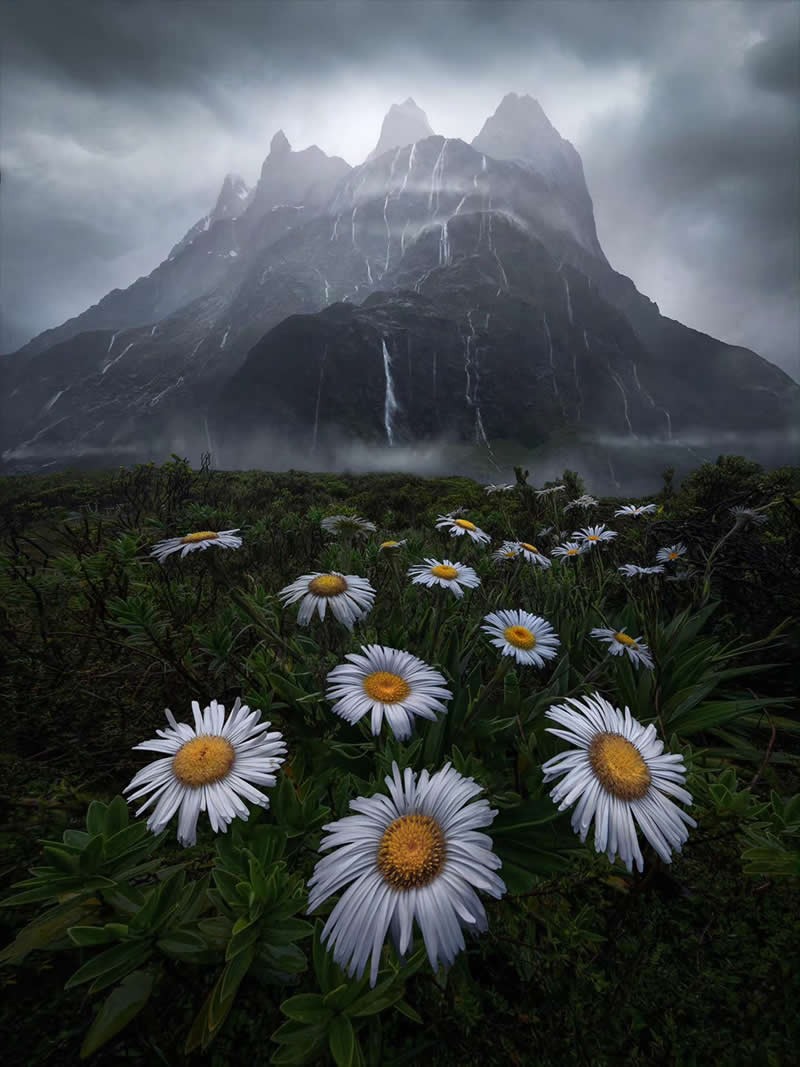 The otherworldly landscape of Milford Sound, New Zealand