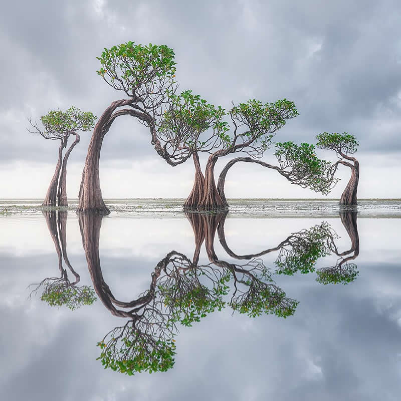 I always enjoy photographing trees