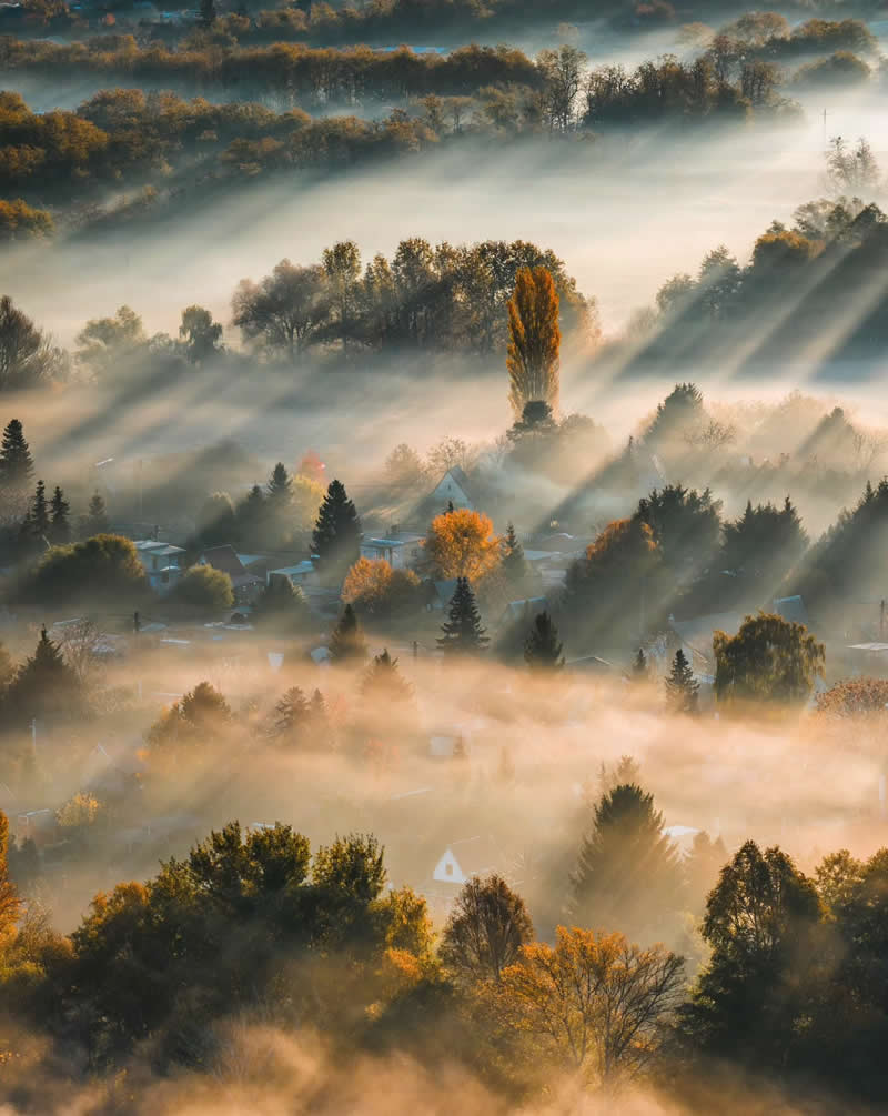 Layers and Rays, Autum Season