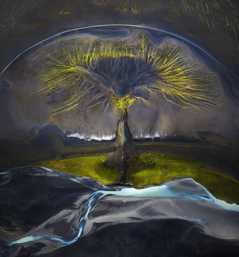 Tree of Life, Iceland