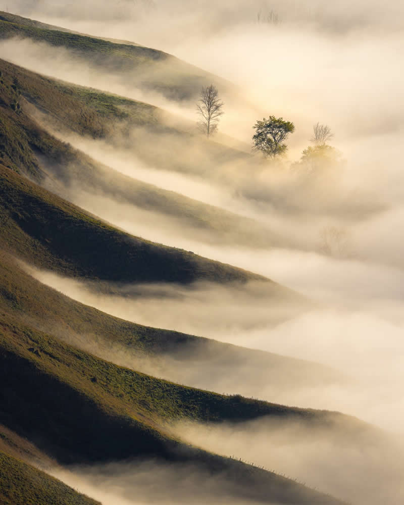 Havelock North, Hawkes Bay, New Zealand
