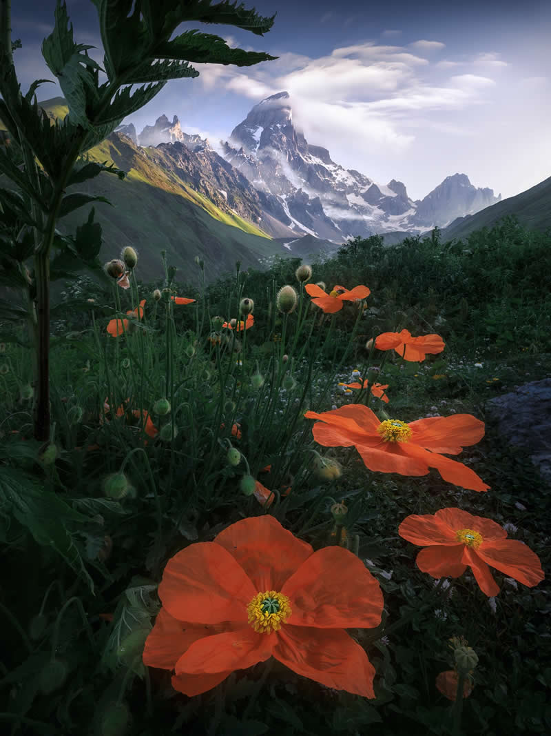 Caucasus Mountains of Georgia
