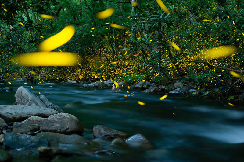 Young Astrophotographers - First Place: River of Light by Norah Swann - 2026 Capture the Dark photography contest Winners