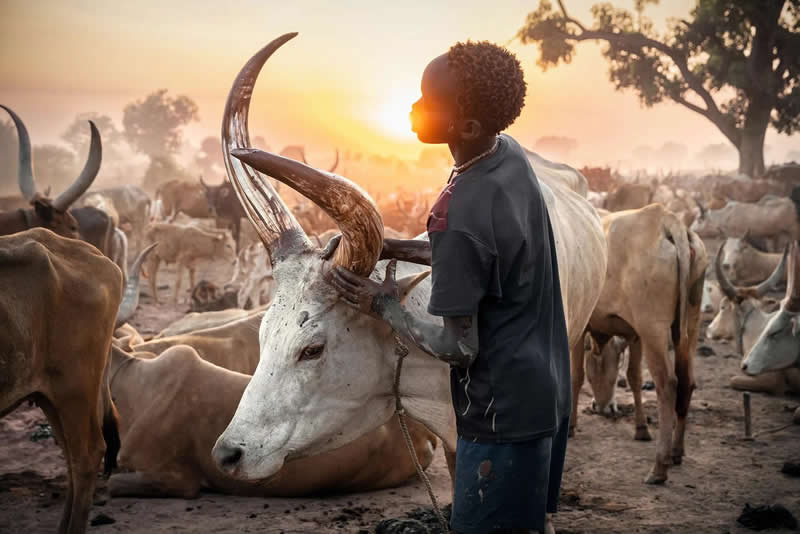 People Photography - Culture: Vanishing Worlds by Roberto Pazzi, Italy - European Photographer of the Year 2026 Winners