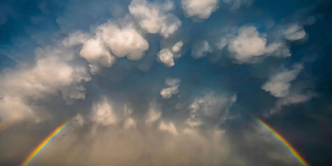 The 2026 European Photography Awards Winners