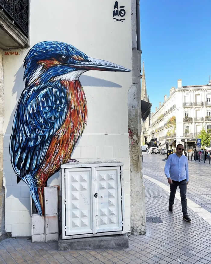 Un martin p&ecirc;cheur &agrave; Saint Michel &mdash; By A-MO in Bordeaux, France