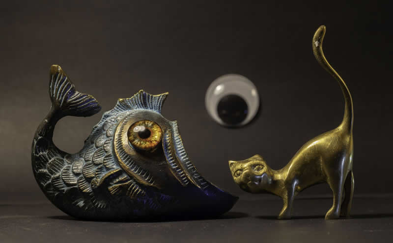 Gurushots Still Life Winners Photo Challenge