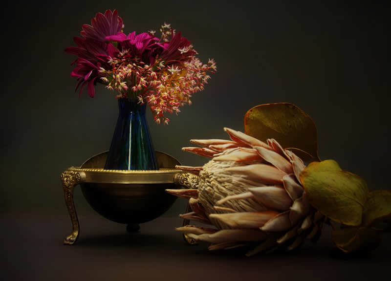 Gurushots Still Life Winners Photo Challenge