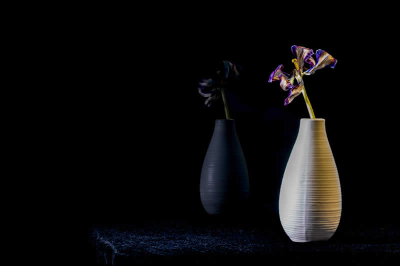 Gurushots Still Life Winners Photo Challenge