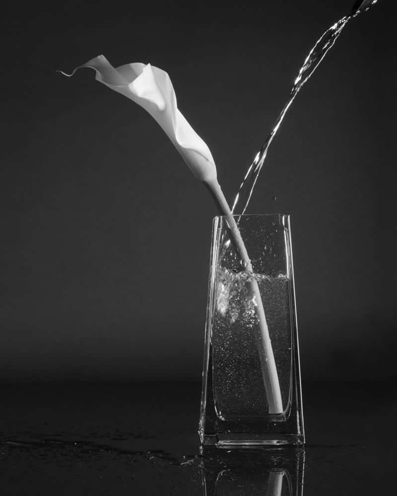 Gurushots Still Life Winners Photo Challenge