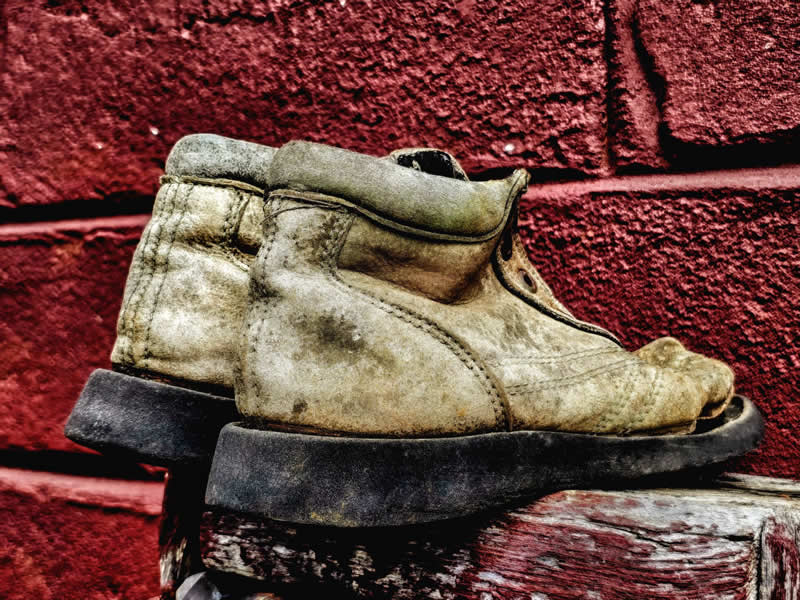 Gurushots Still Life Winners Photo Challenge