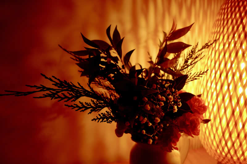 Gurushots Still Life Winners Photo Challenge