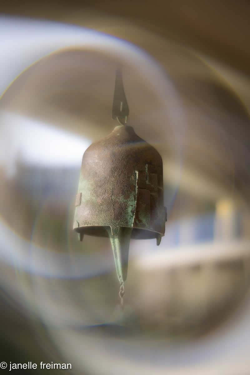 Gurushots Still Life Winners Photo Challenge