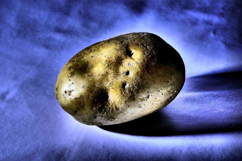 Gurushots Still Life Winners Photo Challenge