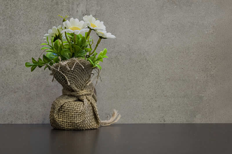 Gurushots Still Life Winners Photo Challenge