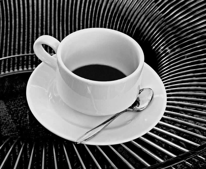 Gurushots Still Life Winners Photo Challenge